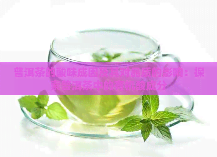 普洱茶的酸味成因及其对品质的影响：探索普洱茶中的有机酸成分