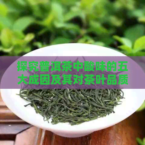 探究普洱茶中酸味的五大成因及其对茶叶品质的影响