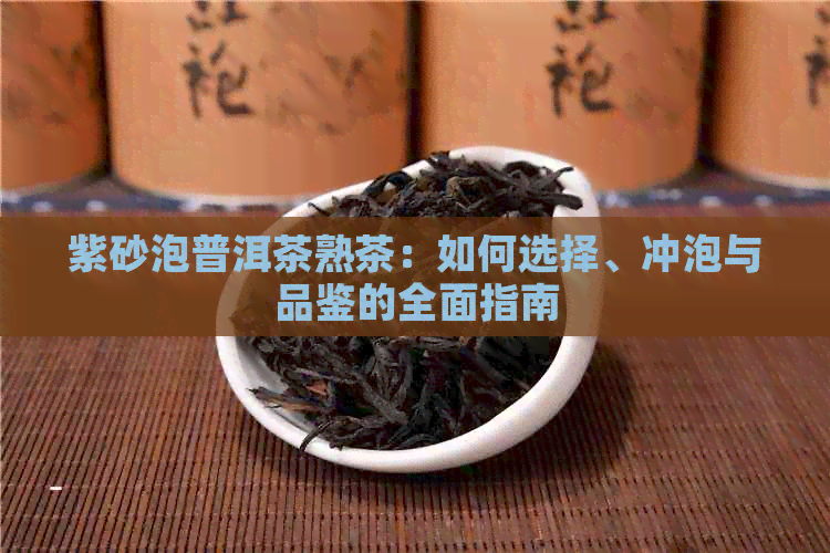 紫砂泡普洱茶熟茶：如何选择、冲泡与品鉴的全面指南