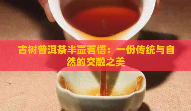 古树普洱茶半壶茗悟：一份传统与自然的交融之美