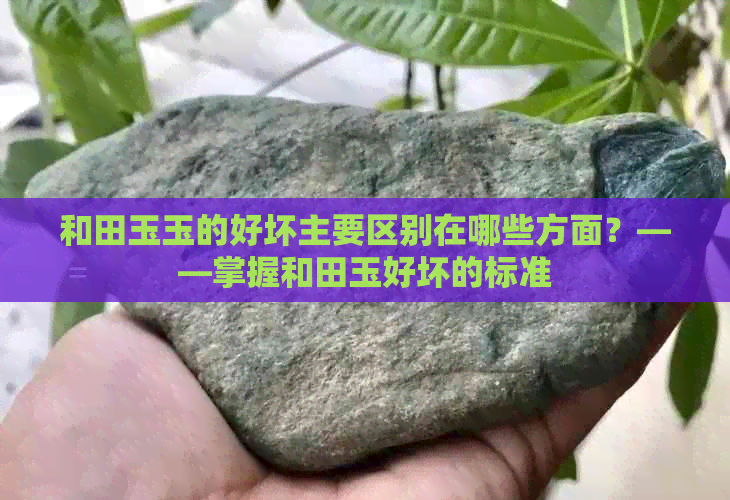 和田玉玉的好坏主要区别在哪些方面？——掌握和田玉好坏的标准