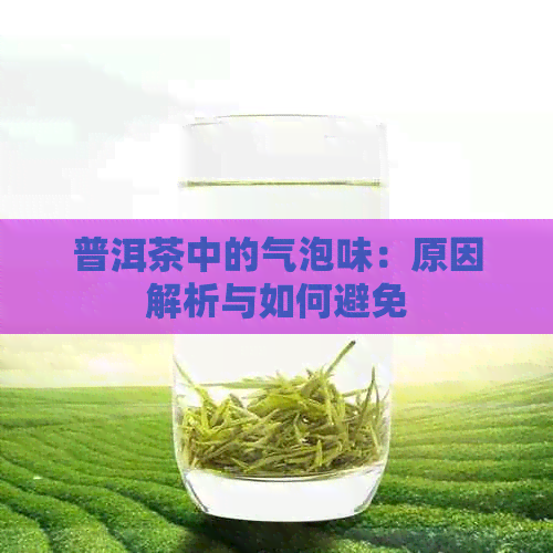 普洱茶中的气泡味：原因解析与如何避免