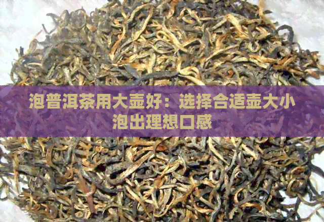 泡普洱茶用大壶好：选择合适壶大小泡出理想口感