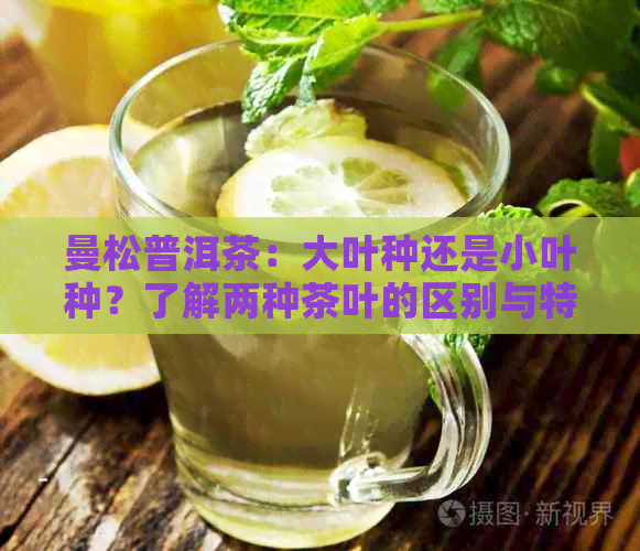 曼松普洱茶：大叶种还是小叶种？了解两种茶叶的区别与特点