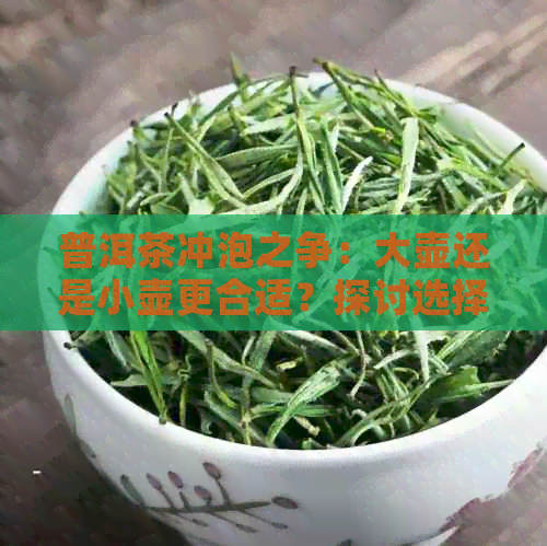 普洱茶冲泡之争：大壶还是小壶更合适？探讨选择与适合的问题