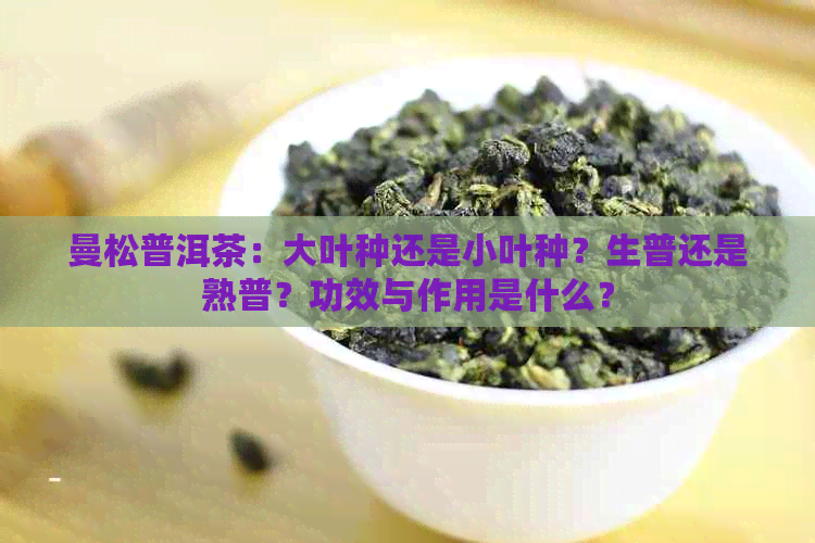 曼松普洱茶：大叶种还是小叶种？生普还是熟普？功效与作用是什么？