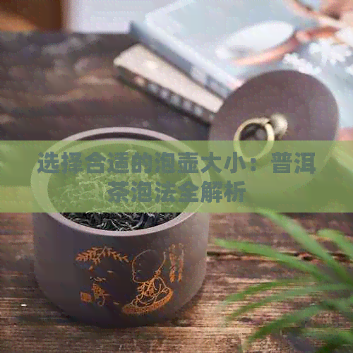 选择合适的泡壶大小：普洱茶泡法全解析