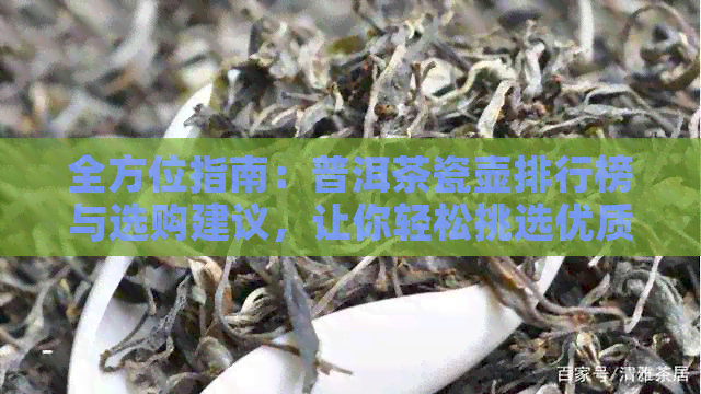 全方位指南：普洱茶瓷壶排行榜与选购建议，让你轻松挑选优质茶具