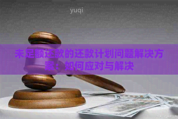 未足额还款的还款计划问题解决方案：如何应对与解决