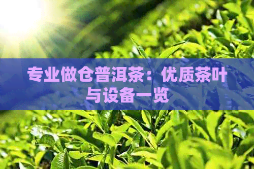 专业做仓普洱茶：优质茶叶与设备一览