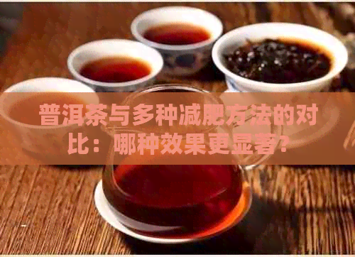 普洱茶与多种减肥方法的对比：哪种效果更显著？