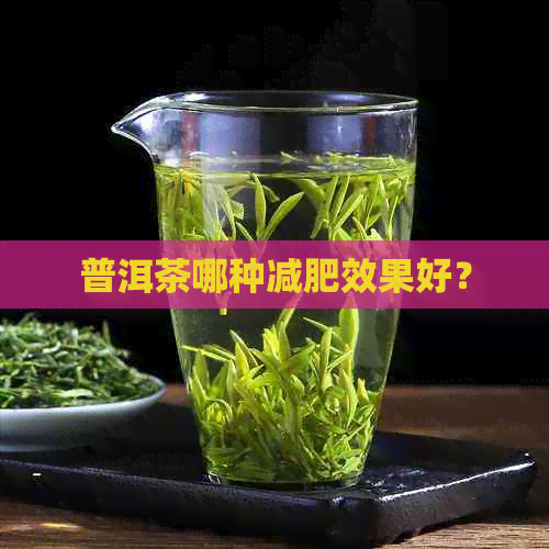 普洱茶哪种减肥效果好？