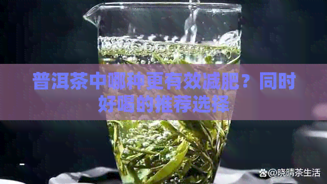 普洱茶中哪种更有效减肥？同时好喝的推荐选择