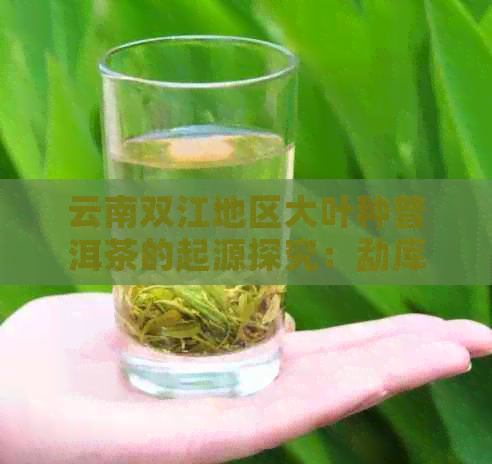 云南双江地区大叶种普洱茶的起源探究：勐库茶文化的历与传承