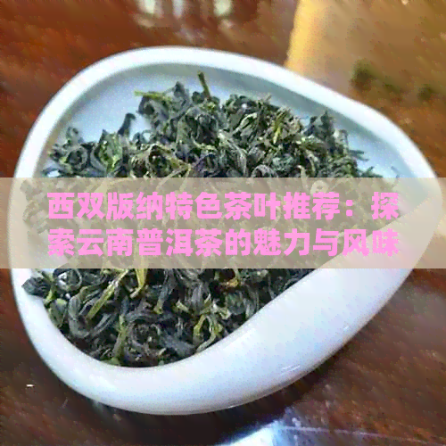 西双版纳特色茶叶推荐：探索云南普洱茶的魅力与风味