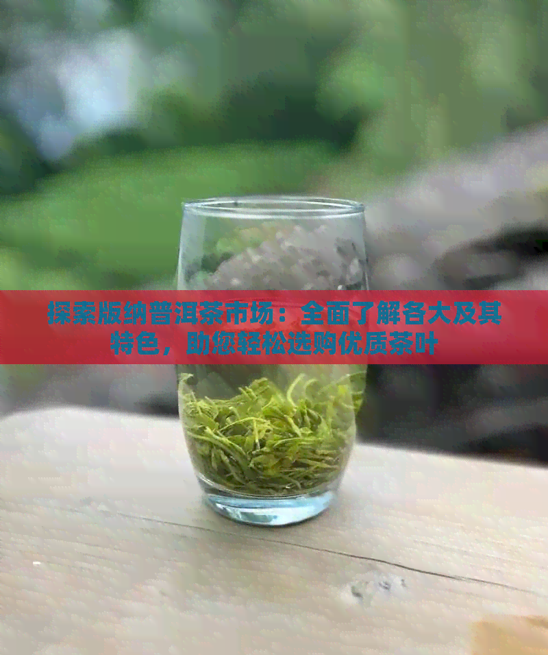 探索版纳普洱茶市场：全面了解各大及其特色，助您轻松选购优质茶叶