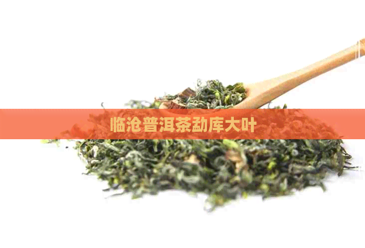 临沧普洱茶勐库大叶