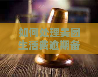 如何处理美团生活费逾期备案文件？需要提供哪些信息并递交至户所在地？