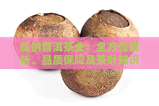 版纳普洱茶业：全方位解析、品质保障及茶叶知识科普