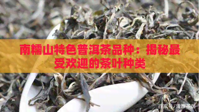 南糯山特色普洱茶品种：揭秘更受欢迎的茶叶种类