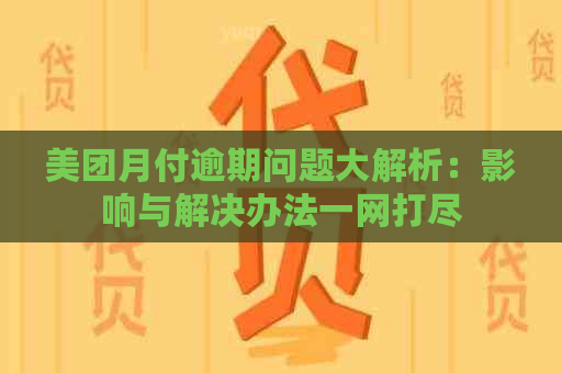 美团月付逾期问题大解析：影响与解决办法一网打尽