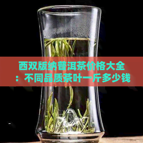 西双版纳普洱茶价格大全：不同品质茶叶一斤多少钱？购买指南一应俱全！