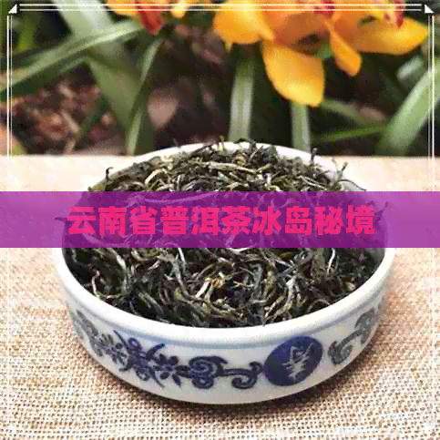 云南省普洱茶冰岛秘境