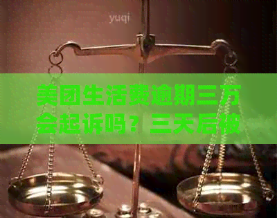 美团生活费逾期三万会起诉吗？三天后被立案，3000元最后协商起诉