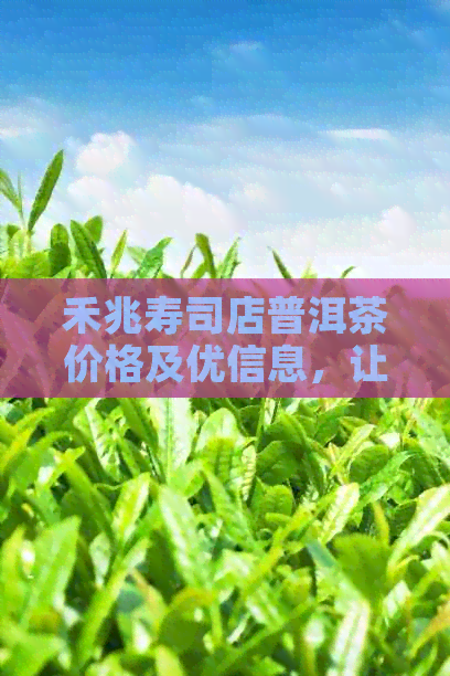 禾兆寿司店普洱茶价格及优信息，让您一次了解所有详情