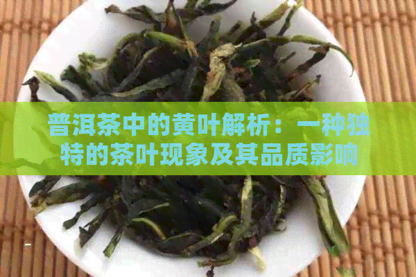 普洱茶中的黄叶解析：一种独特的茶叶现象及其品质影响