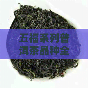 五福系列普洱茶品种全介绍：哪些更值得品鉴？