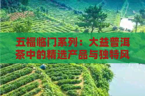 五福临门系列：大益普洱茶中的精选产品与独特风味