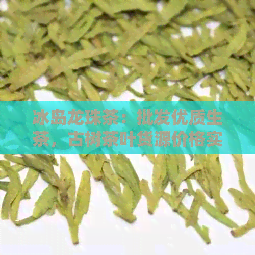 冰岛龙珠茶：批发优质生茶，古树茶叶货源价格实