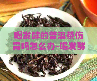 喝发酵的普洱茶伤胃吗怎么办-喝发酵的普洱茶伤胃吗怎么办呢