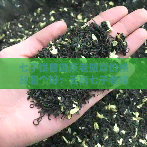 七子饼普洱茶老班章价格及哪个好：云南七子老班章普洱357克一饼多少钱？