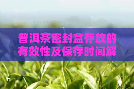 普洱茶密封盒存放的有效性及保存时间解析：如何确保茶叶品质和新度？