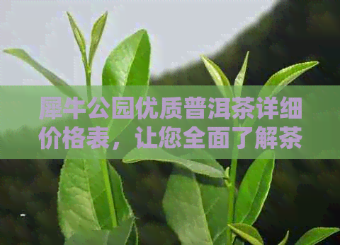 犀牛公园优质普洱茶详细价格表，让您全面了解茶叶价值