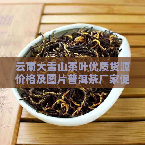云南大雪山茶叶优质货源价格及图片普洱茶厂家促销