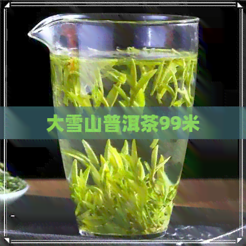 大雪山普洱茶99米