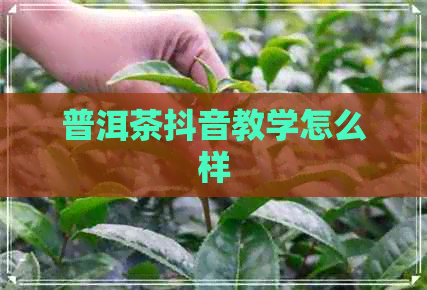 普洱茶抖音教学怎么样