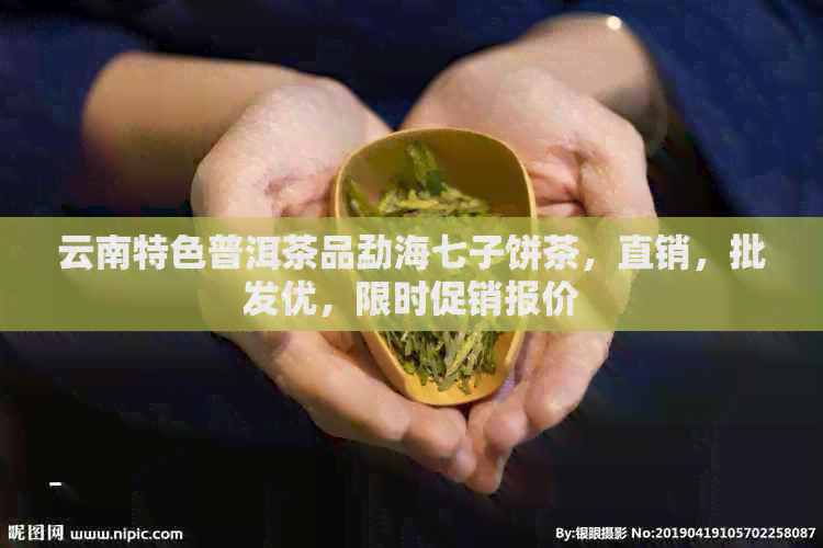 云南特色普洱茶品勐海七子饼茶，直销，批发优，限时促销报价