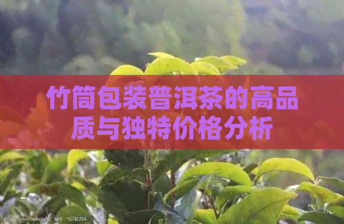 竹筒包装普洱茶的高品质与独特价格分析