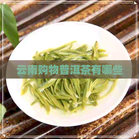 云南购物普洱茶有哪些