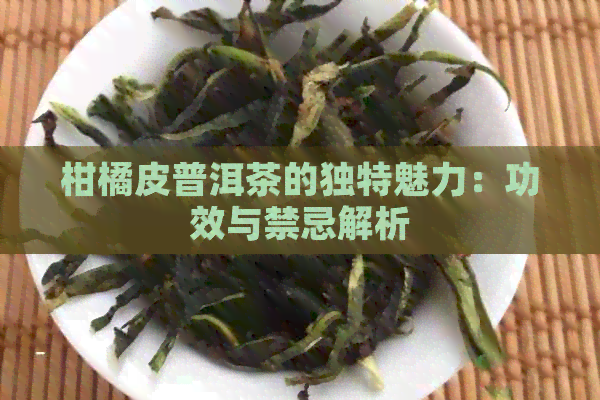 柑橘皮普洱茶的独特魅力：功效与禁忌解析