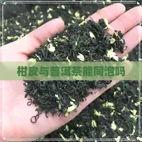 柑皮与普洱茶能同泡吗