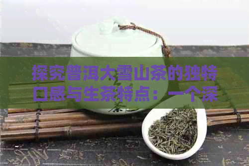 探究普洱大雪山茶的独特口感与生茶特点：一个深度解析