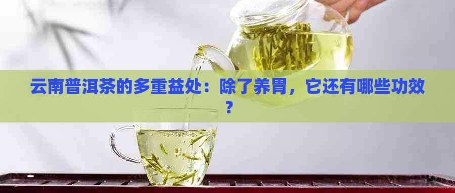 云南普洱茶的多重益处：除了养胃，它还有哪些功效？