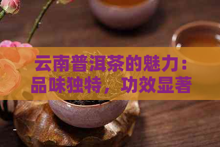 云南普洱茶的魅力：品味独特，功效显著，为何医生推荐？