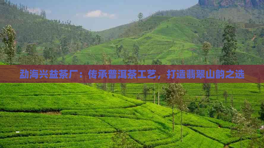 勐海兴益茶厂：传承普洱茶工艺，打造翡翠山韵之选