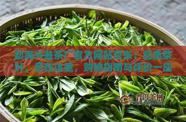 勐海兴益茶厂官方网站京东：品质茶叶，尽在这里，购物指南与评价一应俱全